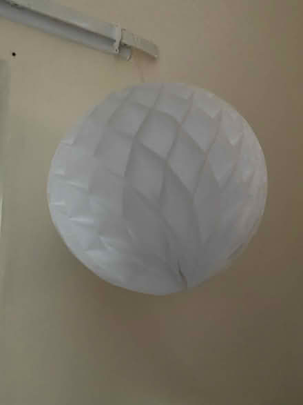 Photo of free Paper foldable origami decorations (Jesmond NE2) #2