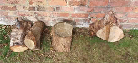 Photo of free Firewood (Southport PR8) #1