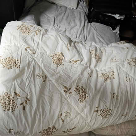 Photo of free Duvet (W10 - Ladbroke Grove) #1