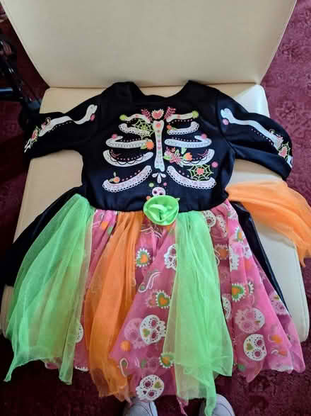 Photo of free Kids Halloween costumes (Forestgreen) #3