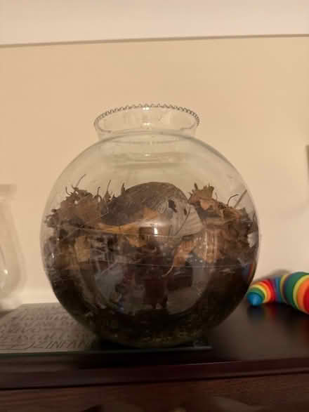 Photo of Glass bottle garden (GU11) #1