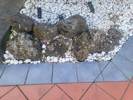 Photo of free garden rocks / boulders (Glen Waverley) #1