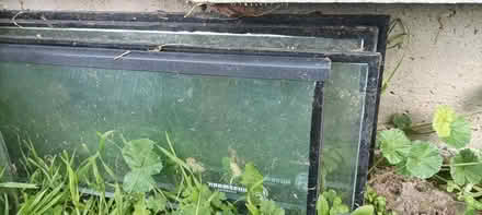Photo of free Glass Panes (Waltham) #3