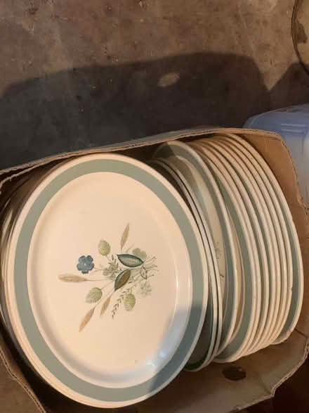 Photo of free Box of Oval Plates (Eyton HR6) #4