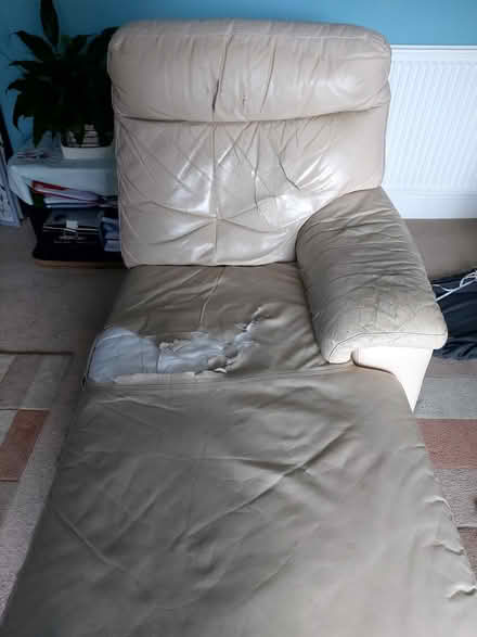 Photo of free chaise longue (Seaside BN22) #2