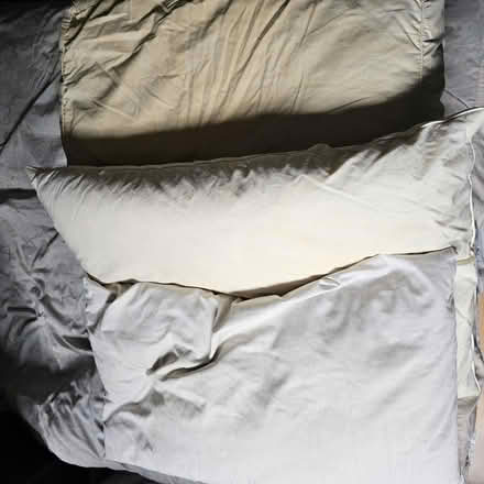 Photo of free Three well used pillows (W10 - Ladbroke Grove) #1