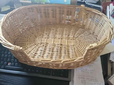 Photo of free Bed, cat/kitten (Mississauga Ontario Canada) #1