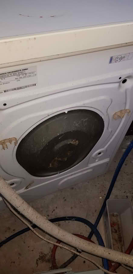 Photo of free Bosch Washing Machine (Lambridge) #1