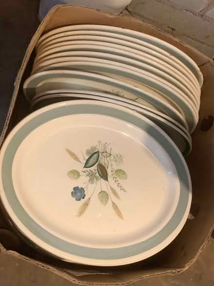 Photo of free Box of Oval Plates (Eyton HR6) #2