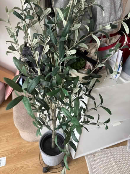 Photo of free Few IKEA items (The Cliff M7) #2