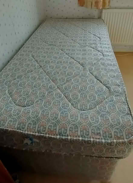 Photo of free Layezee Truckle Bed (Nether Stowey TA5) #1