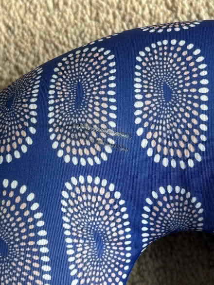 Photo of free Neck pillow (Chiswick W4 near High Road) #3