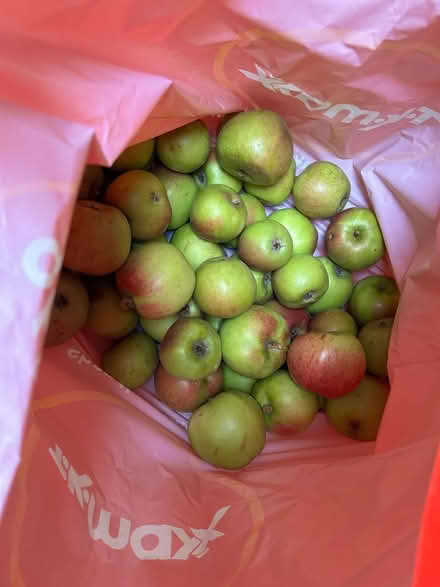 Photo of free Apples (Howhlill Quarries HG3) #1
