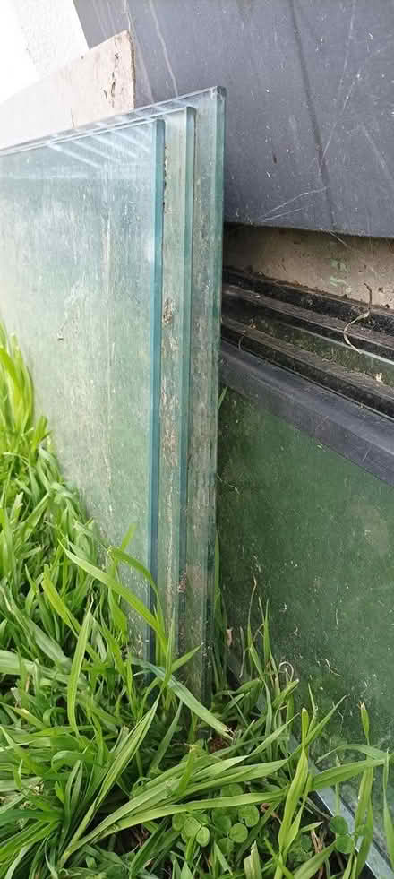 Photo of free Glass Panes (Waltham) #4