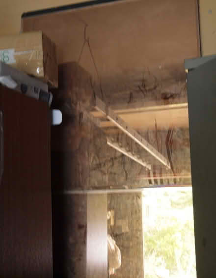 Photo of free large wall tile mirror (Oakwood LS8) #1
