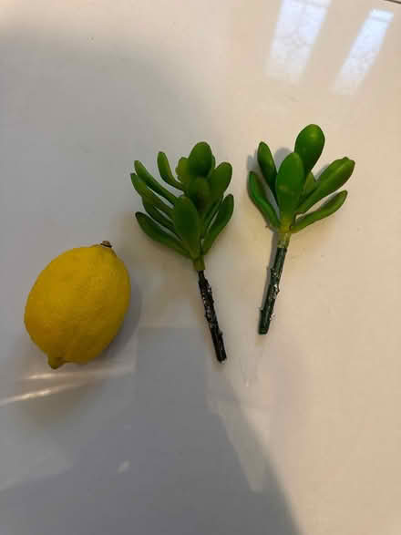Photo of free Artificial plastic plants (CO4 9 Colchester) #1