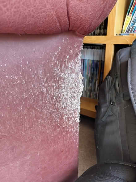 Photo of free 2-seat leather sofas (Walton) #3