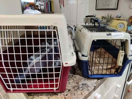 Photo of free Two cat carriers (GU12) #1