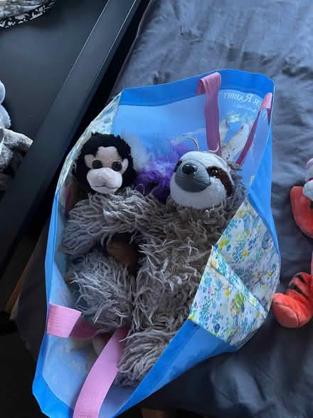 Photo of free Small bag of teddies (Thringstone LE67) #1