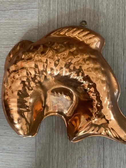 Photo of free Decorative copper fish mould (Gosport PO12) #1