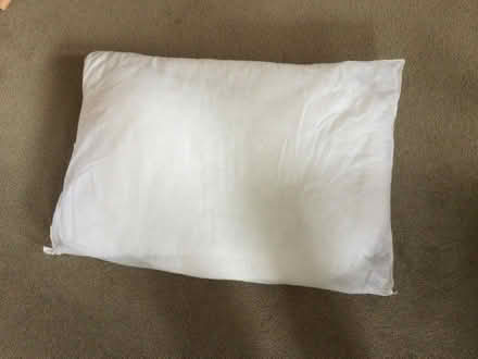 Photo of free Pillow (TN24) #1