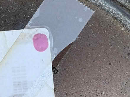 Photo of free Paint (Belford, N.J.) #4