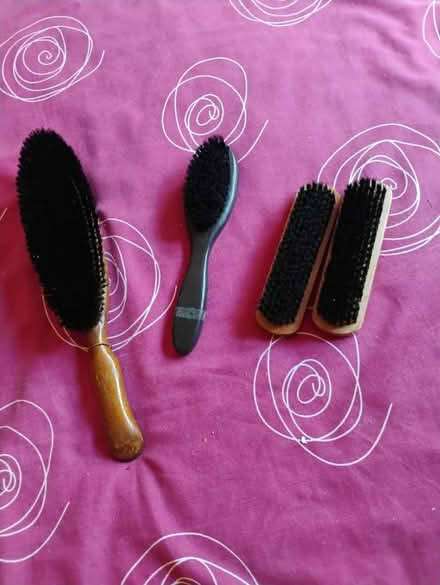 Photo of free Clothes brushes (Ifield West) #1