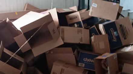 Photo of free Moving Boxes (19095) #1