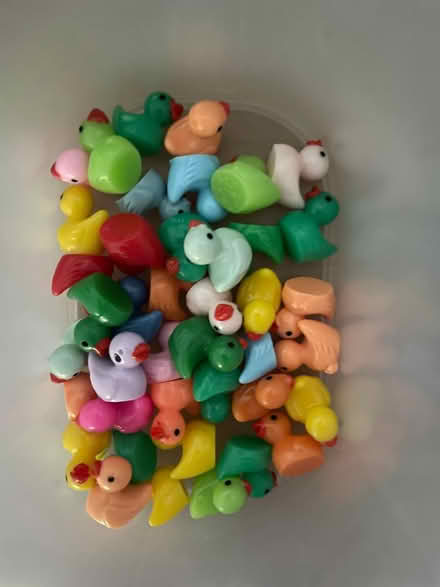Photo of free Small plastic ducks (Great Maplestead CO9) #1
