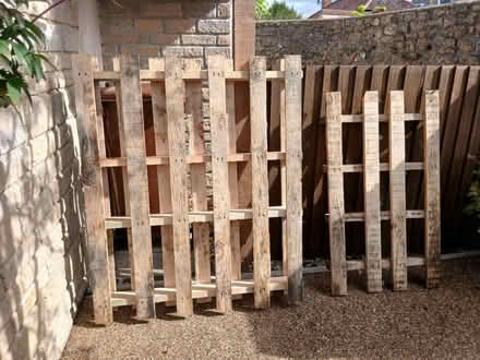 Photo of free Pallets (Evercreech BA4) #1