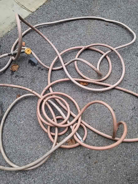 Photo of free Garden hoses (Aspen hill) #1