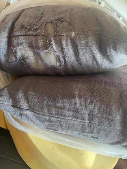 Photo of free Large throw pillows (Orléans) #2