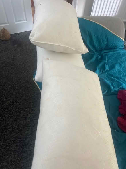 Photo of free 3 pillows (Newick BN8) #1