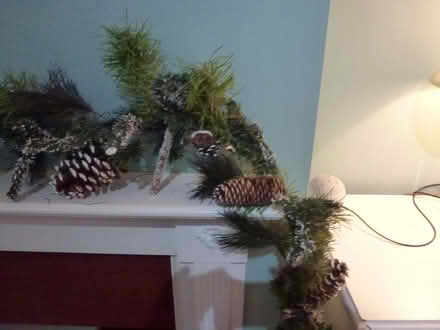 Photo of free Christmas decorations (Hadleigh SS7) #3