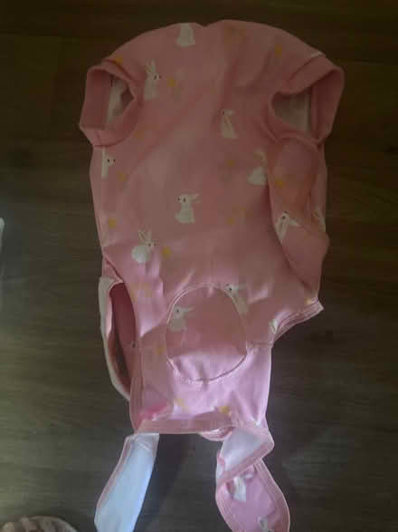 Photo of free Medium dog surgery suit (Maidstone ME15) #1