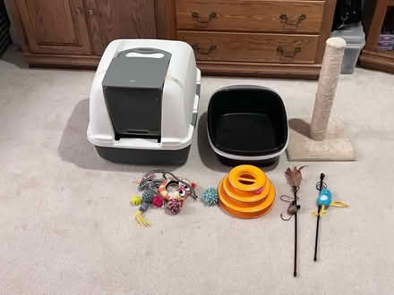 Photo of free Pet Cat Supplies (Olney) #1