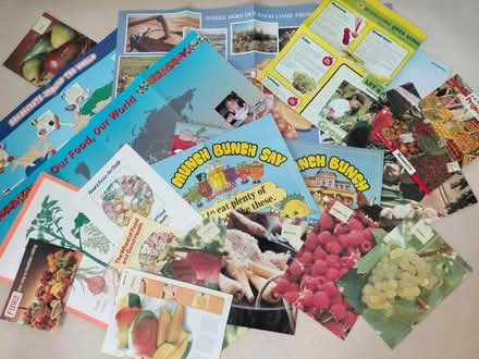 Photo of free 'FOOD' Project Resources 5-11yrs (New Ferry CH62) #1