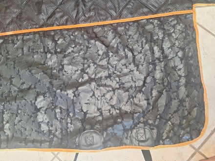 Photo of free Backseat cover (SR, Bret Harte, near Jackson's) #3