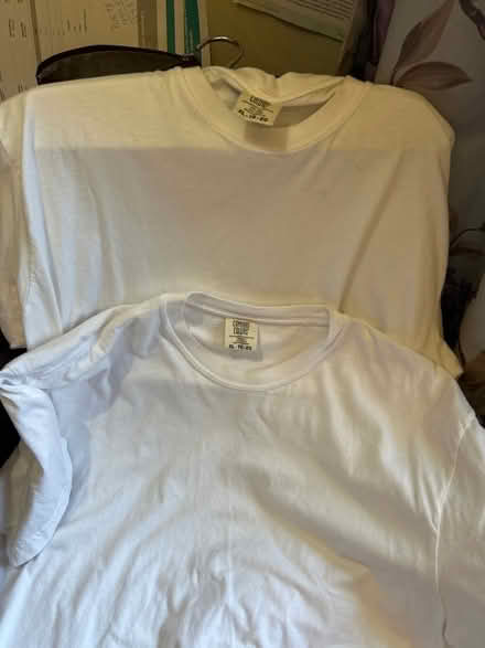 Photo of free XL 100% cotton T-shirts (10011 (17th & 9th)) #3