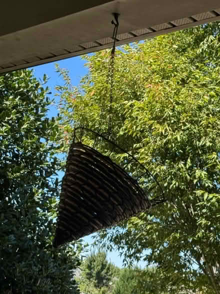 Photo of free Hanging baskets (W Cary near Green Hope High) #4