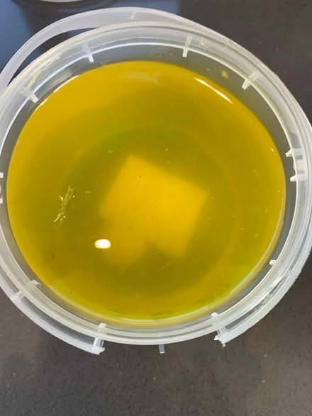Photo of free Pot of slime (Norton Lees S8) #2