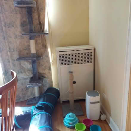 Photo of free Cat stuff (Evanston, Il) #1