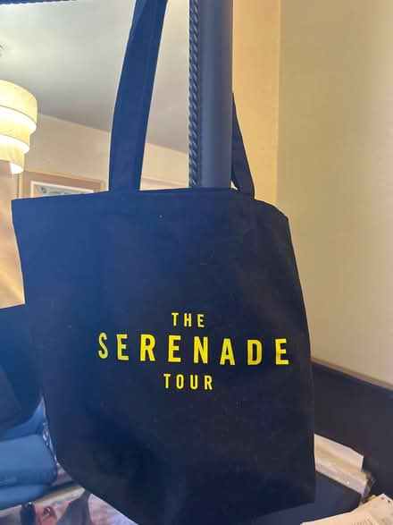 Photo of free Singer Maxwell concert tote bag (10011 (17th & 9th)) #2