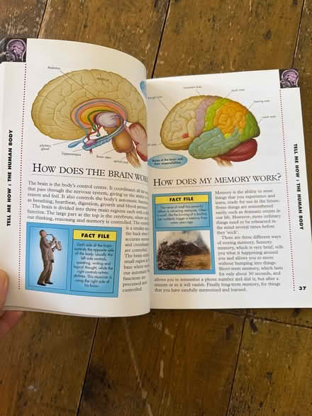 Photo of free Book (Haringey N15 3) #2