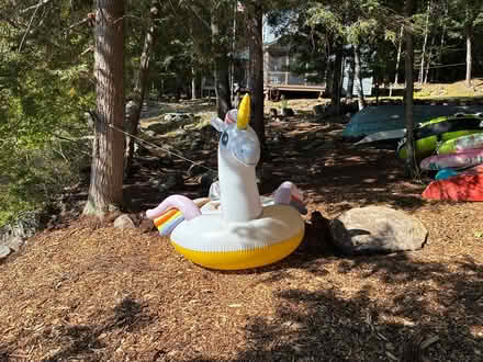 Photo of free Inflatable Unicorn Water Toy (Westford St Chelmsford) #1