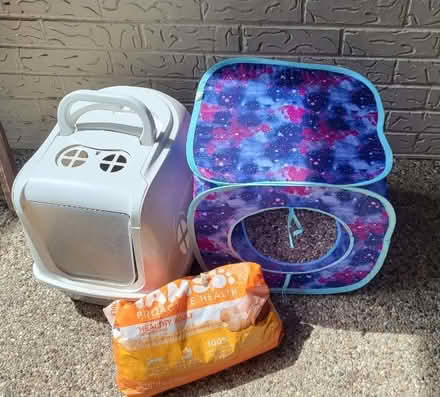 Photo of free Kitty - Cat things (Northbrook) #1