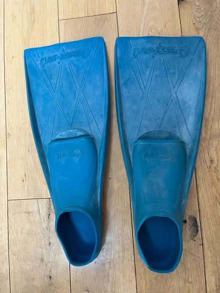 Photo of free Flippers/ fins (Ryton NE40) #1