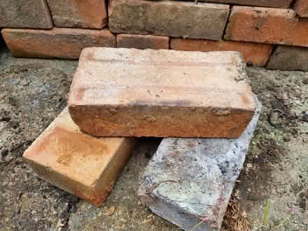Photo of free Bricks (CM2 springfield, chelmsford) #3