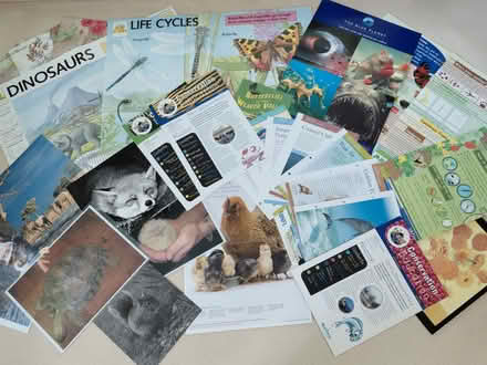 Photo of free CONSERVATION Project Resources 7-13 (New Ferry CH62) #1