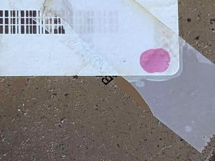 Photo of free Paint (Belford, N.J.) #2